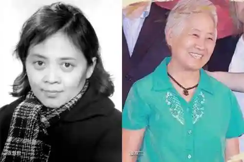 金龙麟阵容搭配什么插图19