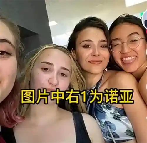 诺雅阵容搭配插图11