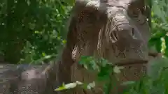 史前星球阵容搭配图高清(星球大战生物图鉴)插图10