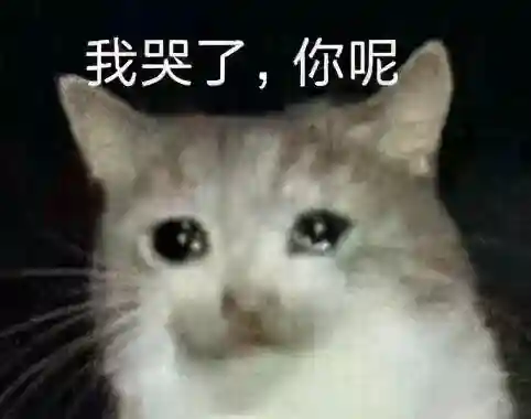 程普盾阵容搭配(三国志战略版程普阵容)插图5
