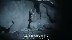 史前星球阵容搭配图高清(星球大战生物图鉴)插图16