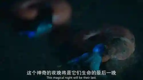 史前星球阵容搭配图高清(星球大战生物图鉴)插图38