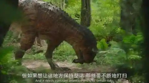 史前星球阵容搭配图高清(星球大战生物图鉴)插图28