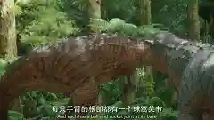 史前星球阵容搭配图高清(星球大战生物图鉴)插图30