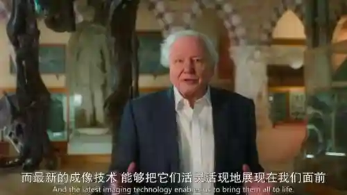 史前星球阵容搭配图高清(星球大战生物图鉴)插图7