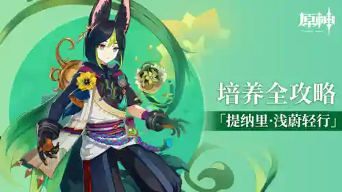 提纳里的阵容搭配(云顶之弈阵容搭配图表)