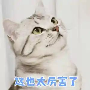 灌篮4最强阵容搭配图表(狂战士搭配什么阵容)插图4