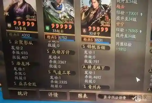老虎需要什么阵容搭配(动物之战最强阵容搭配)插图7