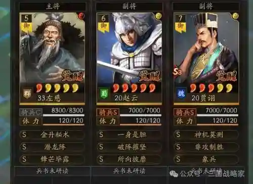 老虎需要什么阵容搭配(动物之战最强阵容搭配)插图6