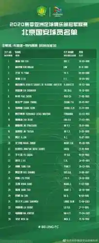 北京国安队亚冠八强阵容(09年国安夺冠阵容)