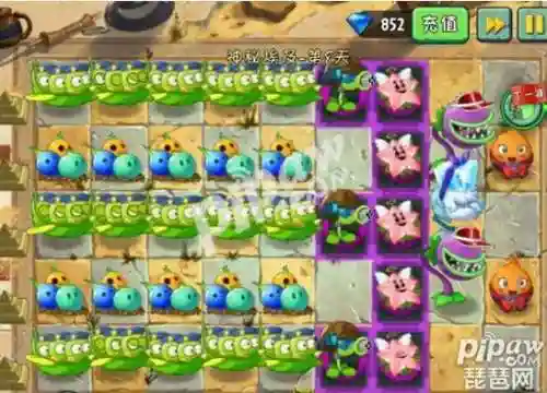 埃及无尽阵容新手阵容(植物大战僵尸2埃及无尽阵容)