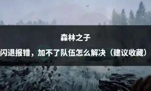 收藏的阵容推荐找不到位置(灵魂序章最强阵容搭配推荐)