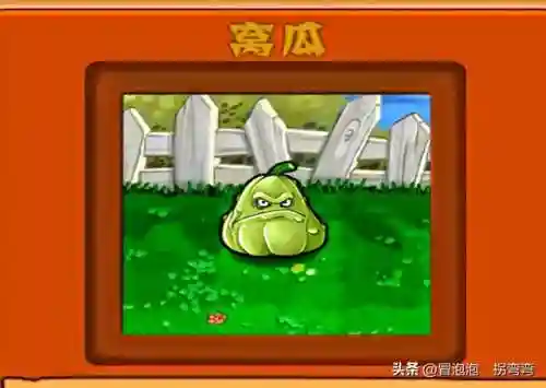 植物阵容排名(十大净化空气植物)插图5