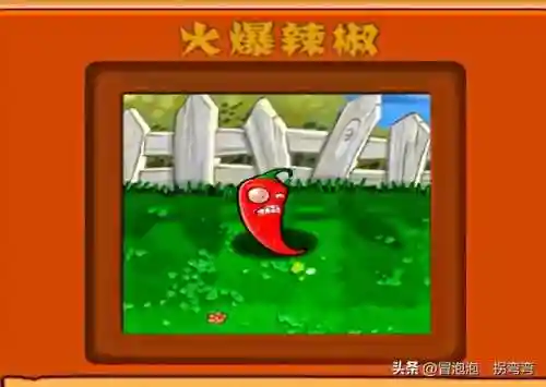 植物阵容排名(十大净化空气植物)插图8