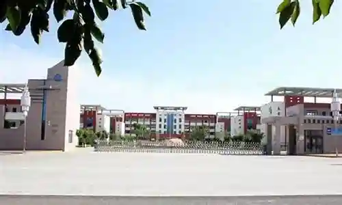 合阳小学放学阵容搭配图