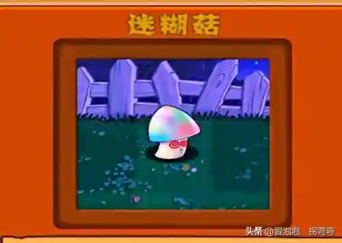 植物阵容排名(十大净化空气植物)