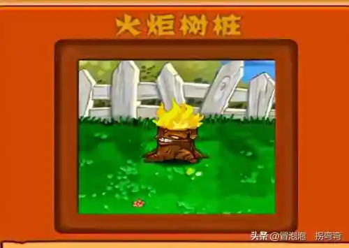 植物阵容排名(十大净化空气植物)插图10