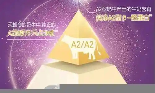 金领阵容搭配