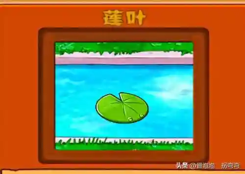 植物阵容排名(十大净化空气植物)插图4