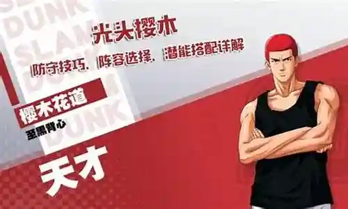 樱木最强阵容搭配