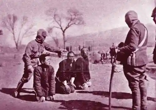 唐锤子阵容(唐昊阵容怎么搭配)插图14