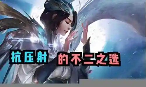 夜神搭配什么阵容最好