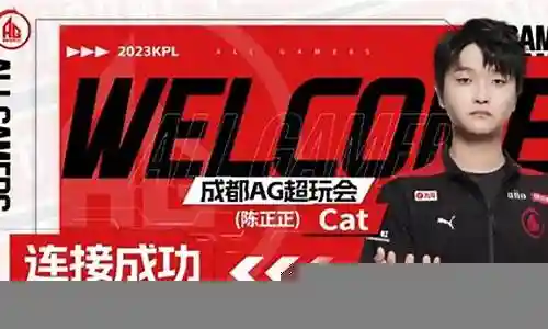 新赛季猫神阵容搭配