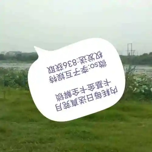 自主搭配阵容(云顶之弈s10最强阵容搭配)插图2