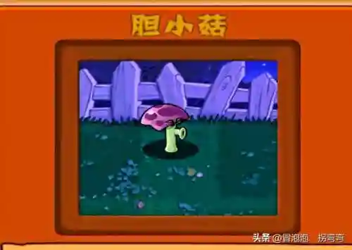 植物阵容排名(十大净化空气植物)插图1