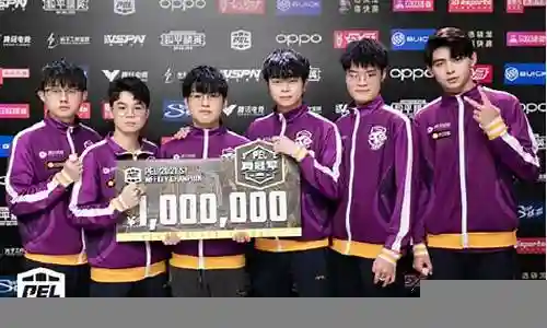 紫金王朝夺冠阵容搭配