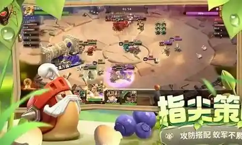 蚂蚁战争的阵容搭配