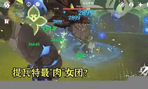 公子草系阵容搭配