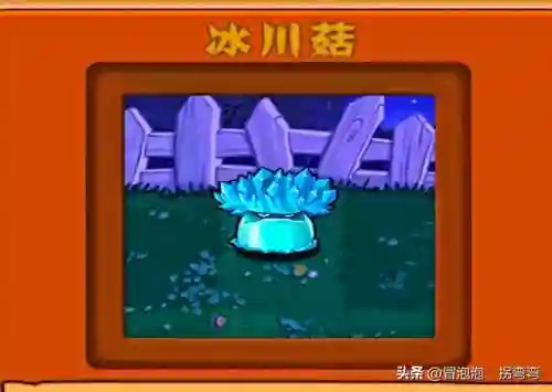 植物阵容排名(十大净化空气植物)插图2