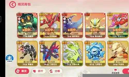 时拉比搭配什么阵容
