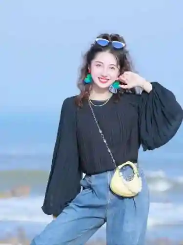 蓝灯笼阵容(无尽的拉格朗日 阵容)插图4