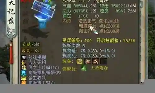 二转号搭配阵容