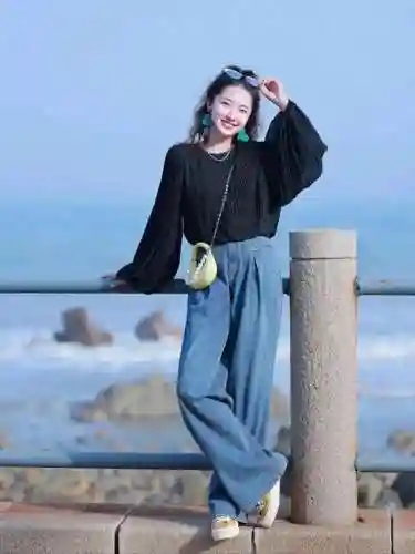 蓝灯笼阵容(无尽的拉格朗日 阵容)