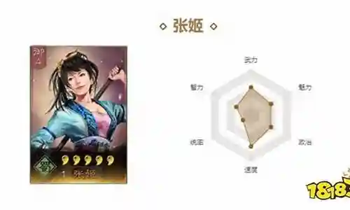 张姬怎么搭配阵容