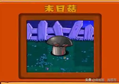 植物阵容排名(十大净化空气植物)插图3