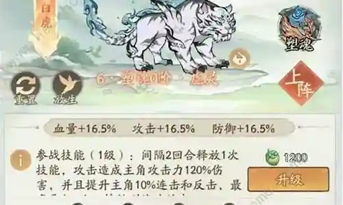白虎绯红怎么搭配阵容