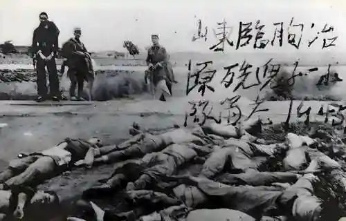 唐锤子阵容(唐昊阵容怎么搭配)插图6