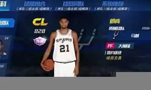 篮球大师热火阵容搭配推荐