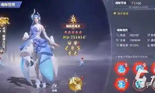 小白可以搭配什么阵容