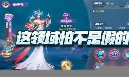 波塞西阵容搭配小白