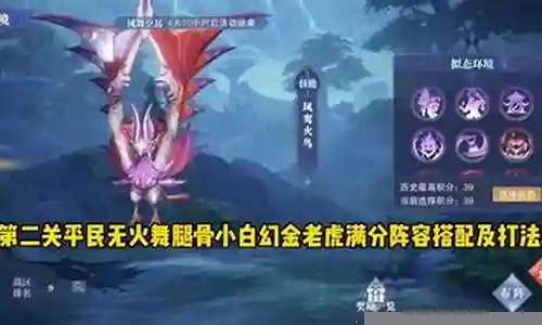 火舞和小白阵容搭配