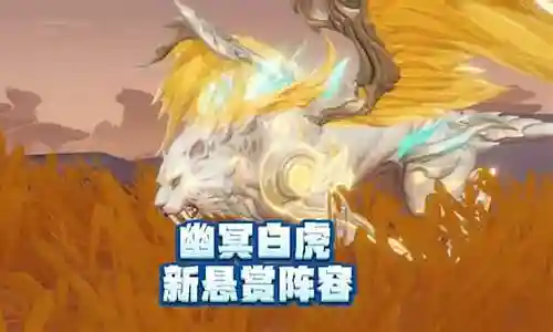 前期幽冥白虎悬赏搭配阵容