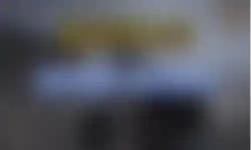 猎食者阵容克星搭配