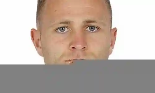 维特斯阵容