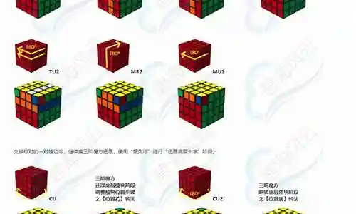 新手阵容搭配4阶魔方