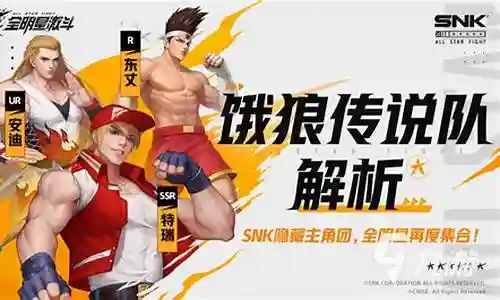 饿狼阵容搭配